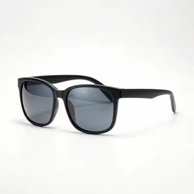 sunglasses lenses polarized